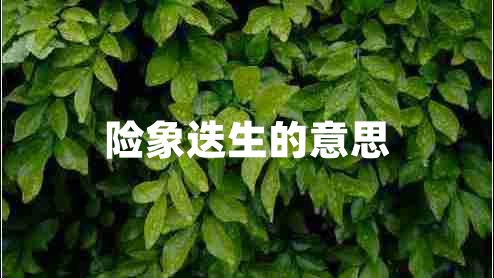險象迭生的意思