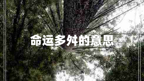 命運(yùn)多舛的意思