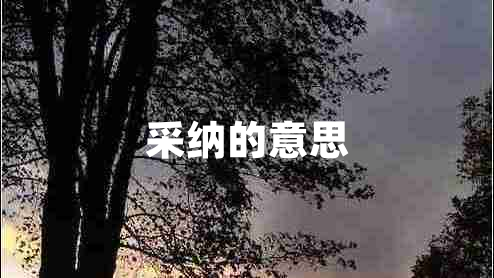 采納的意思