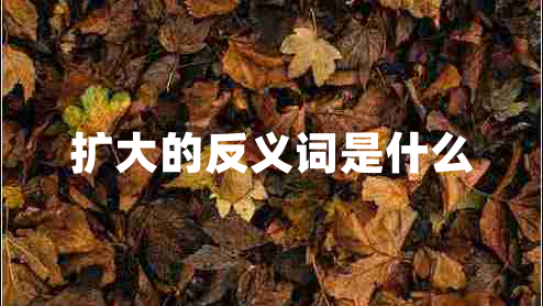 擴(kuò)大的反義詞是什么