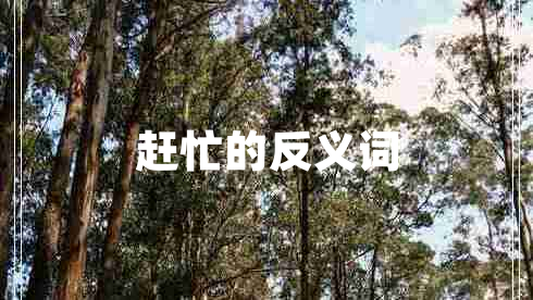 趕忙的反義詞