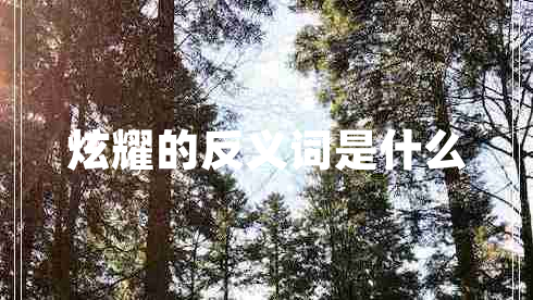 炫耀的反義詞是什么