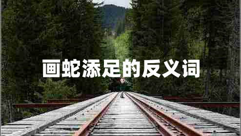 畫蛇添足的反義詞