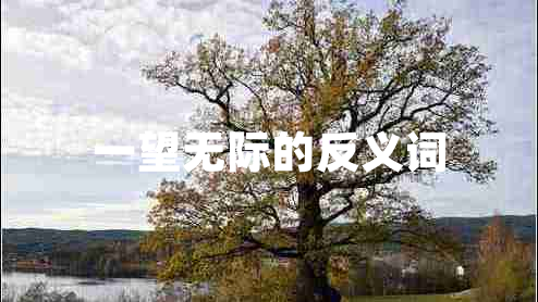 一望無際的反義詞