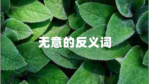無(wú)意的反義詞