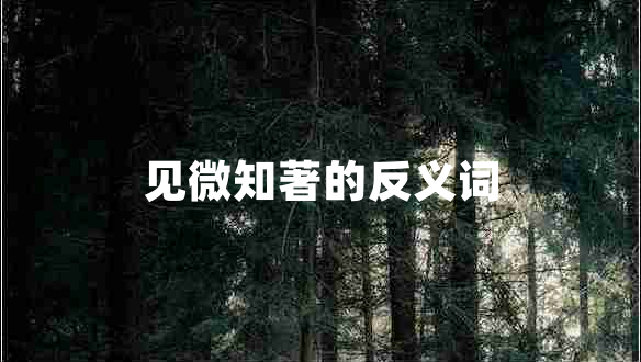 見微知著的反義詞