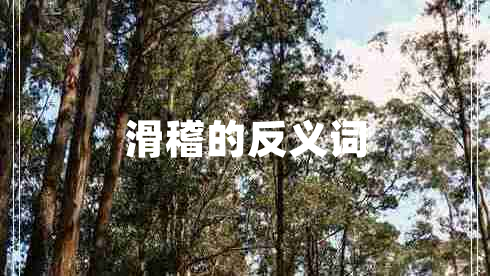 滑稽的反義詞