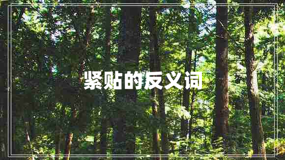 緊貼的反義詞
