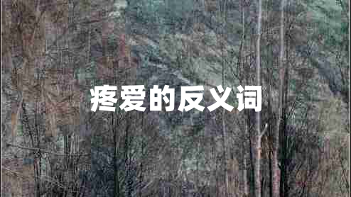 疼愛的反義詞
