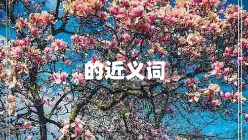 的近義詞