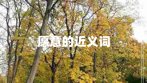 愿意的近義詞