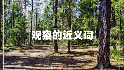 觀察的近義詞