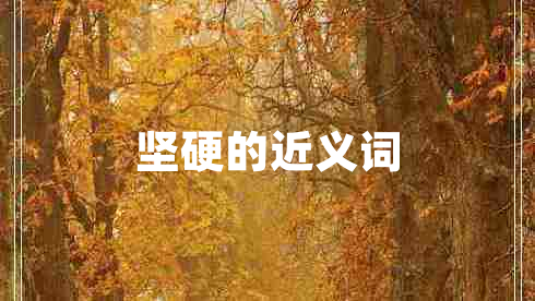 堅硬的近義詞