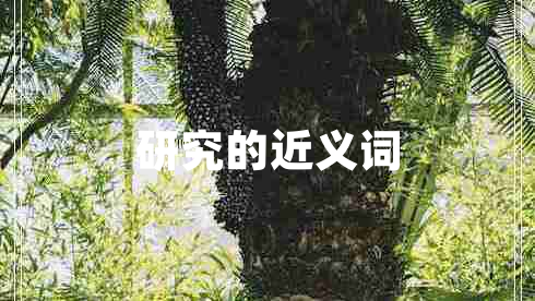 研究的近義詞