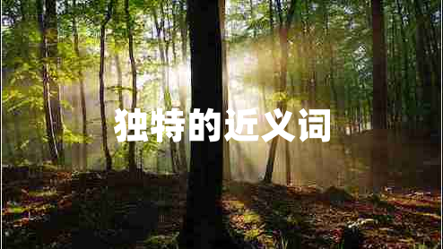 獨特的近義詞