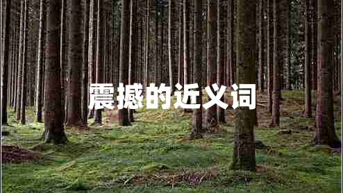 震撼的近義詞