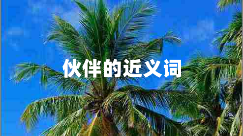 伙伴的近義詞