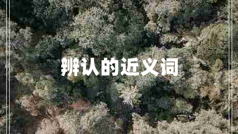 辨認(rèn)的近義詞