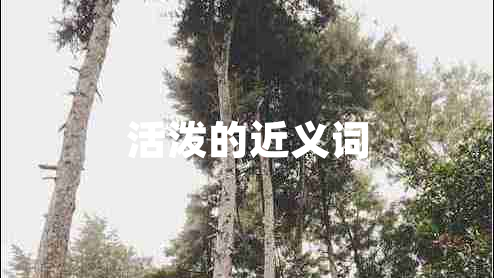 活潑的近義詞