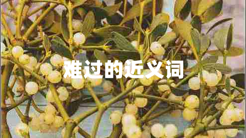 難過(guò)的近義詞