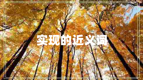 實現(xiàn)的近義詞