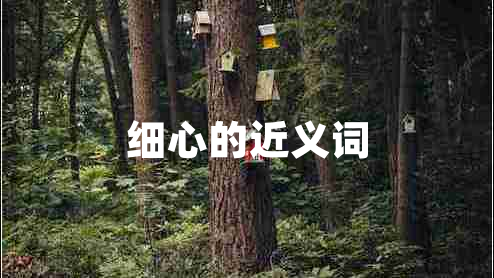 細心的近義詞
