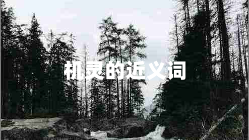 機靈的近義詞