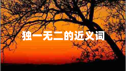 獨(dú)一無(wú)二的近義詞