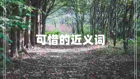可惜的近義詞