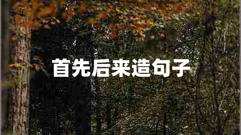 首先后來(lái)造句子