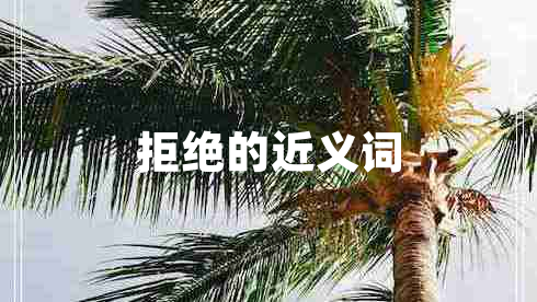 拒絕的近義詞