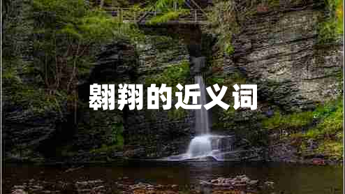 翱翔的近義詞