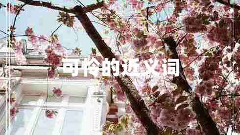 可憐的近義詞