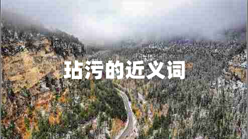 玷污的近義詞