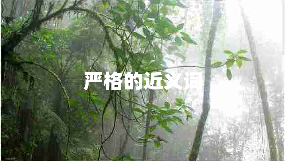 嚴格的近義詞