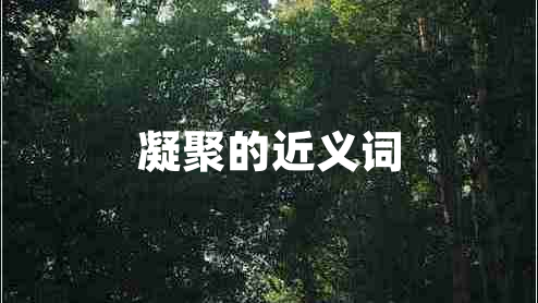 凝聚的近義詞