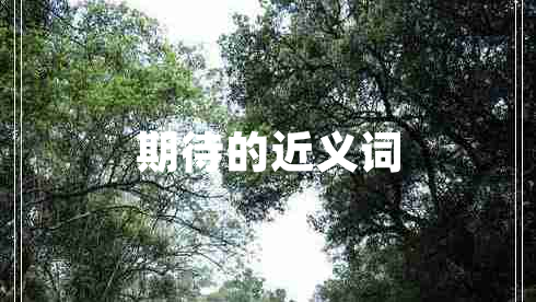 期待的近義詞