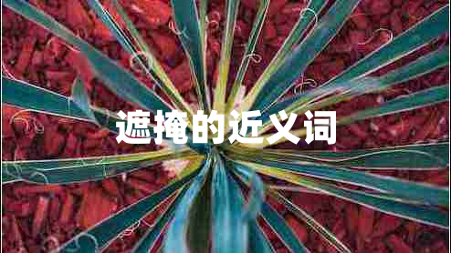遮掩的近義詞