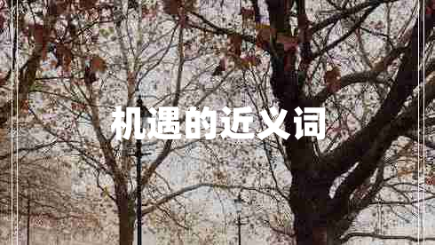 機遇的近義詞