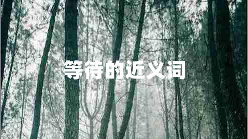 等待的近義詞