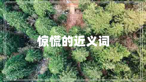 驚慌的近義詞