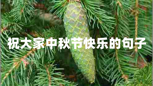 祝大家中秋節(jié)快樂(lè)的句子