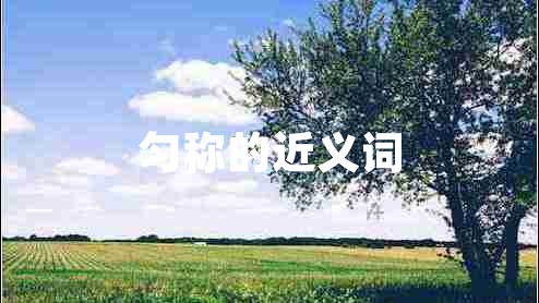 勻稱的近義詞