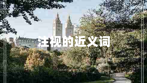 注視的近義詞