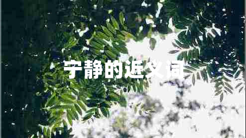 寧?kù)o的近義詞