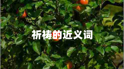 祈禱的近義詞