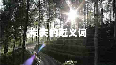 損失的近義詞