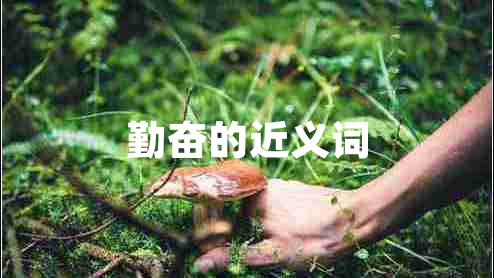 勤奮的近義詞