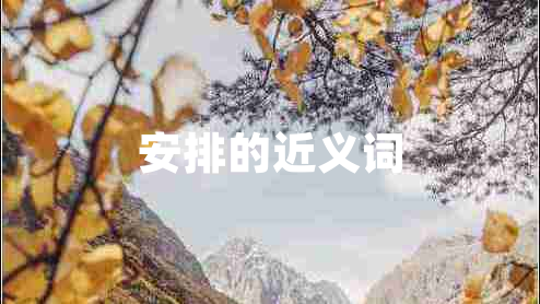 安排的近義詞