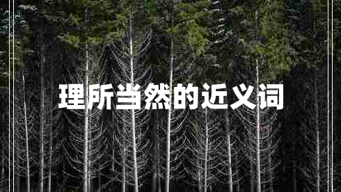 理所當然的近義詞